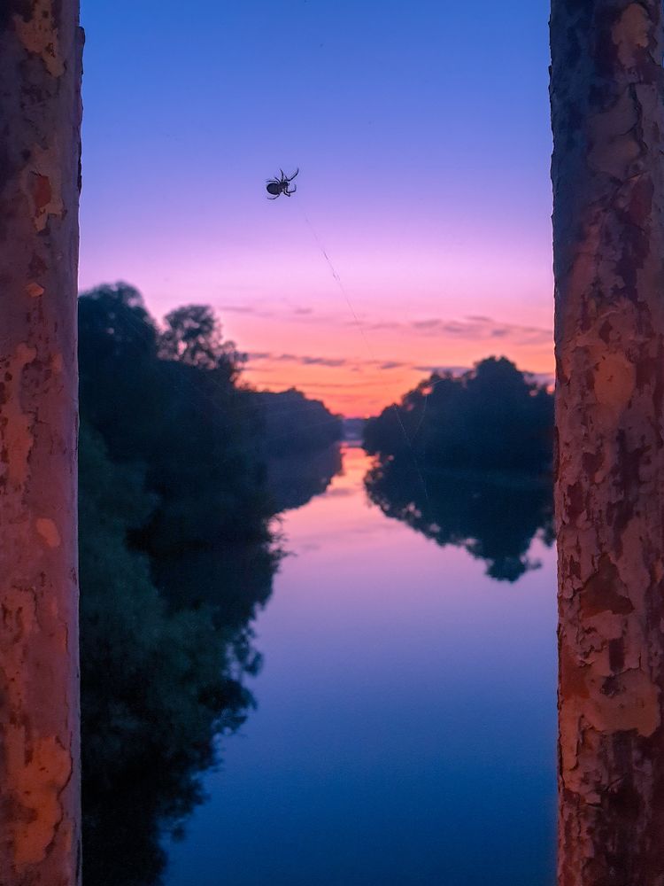 Photograph by Татьяна Лышенко