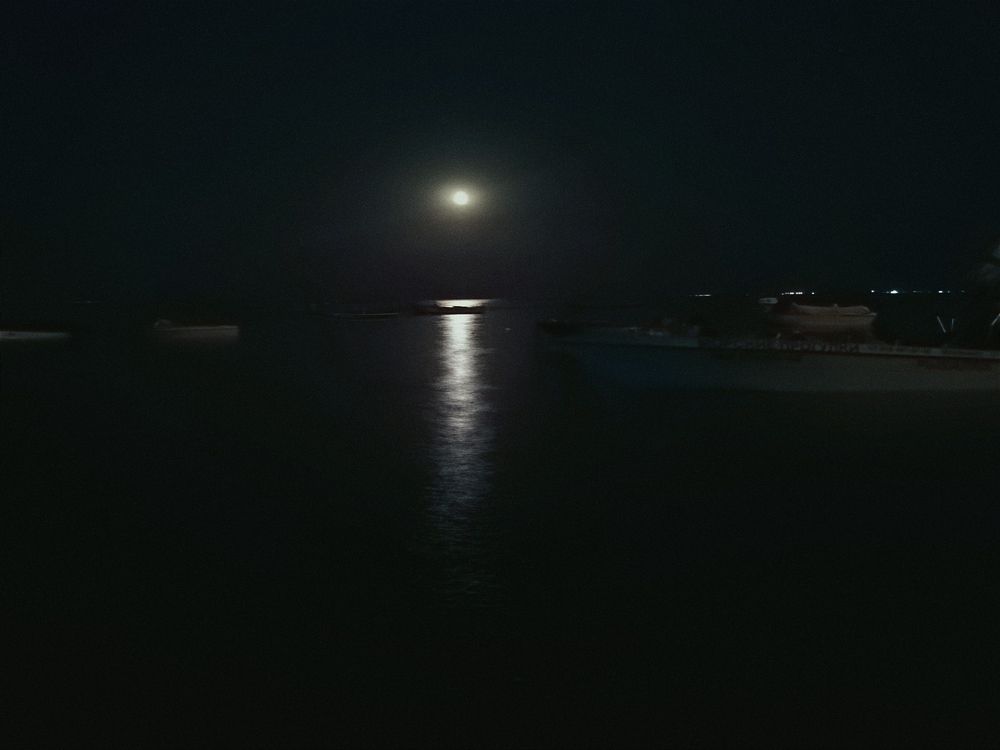 Фотография автора OXANA MARSOVA