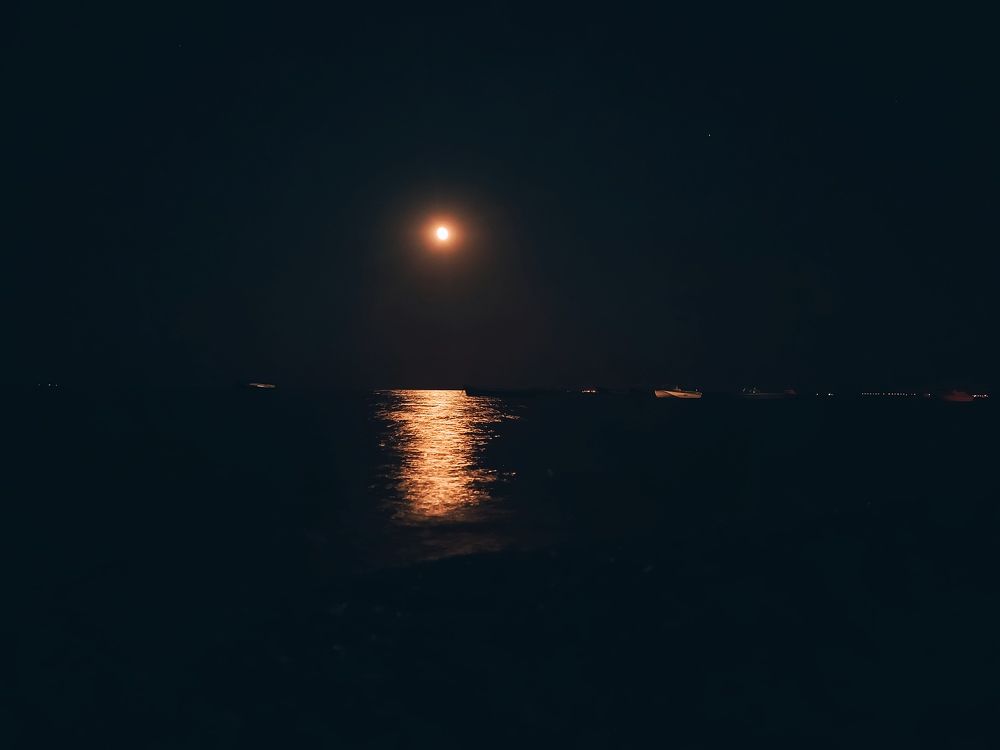 Фотография автора OXANA MARSOVA