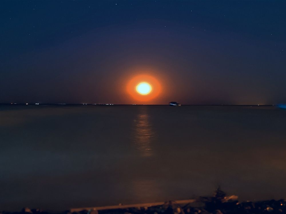 Фотография автора OXANA MARSOVA