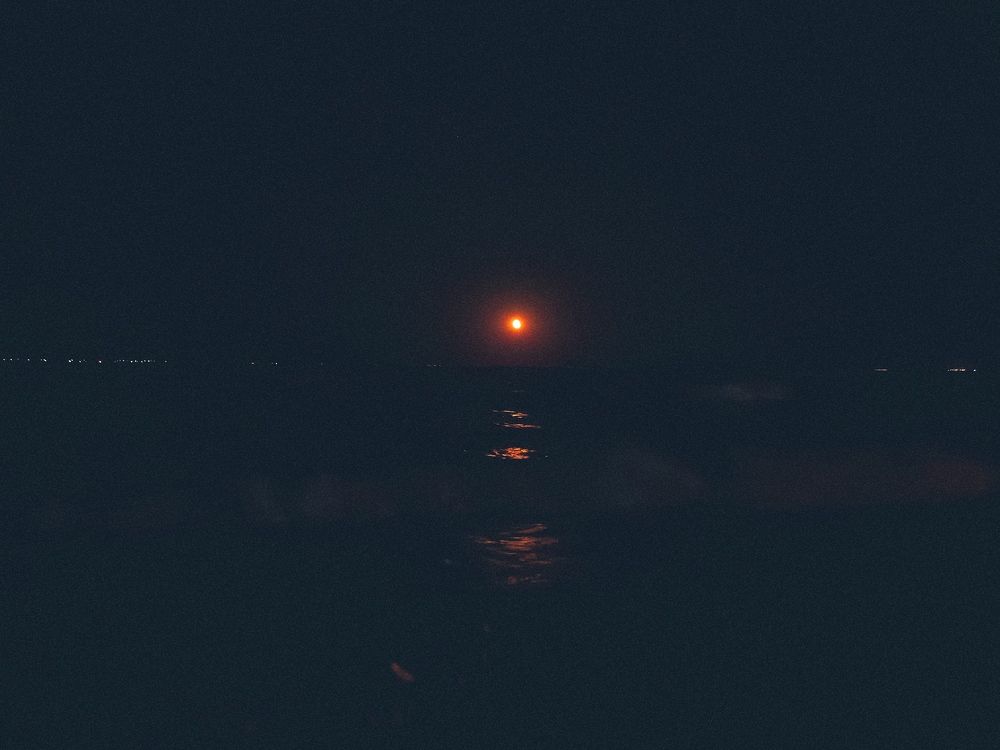 Фотография автора OXANA MARSOVA