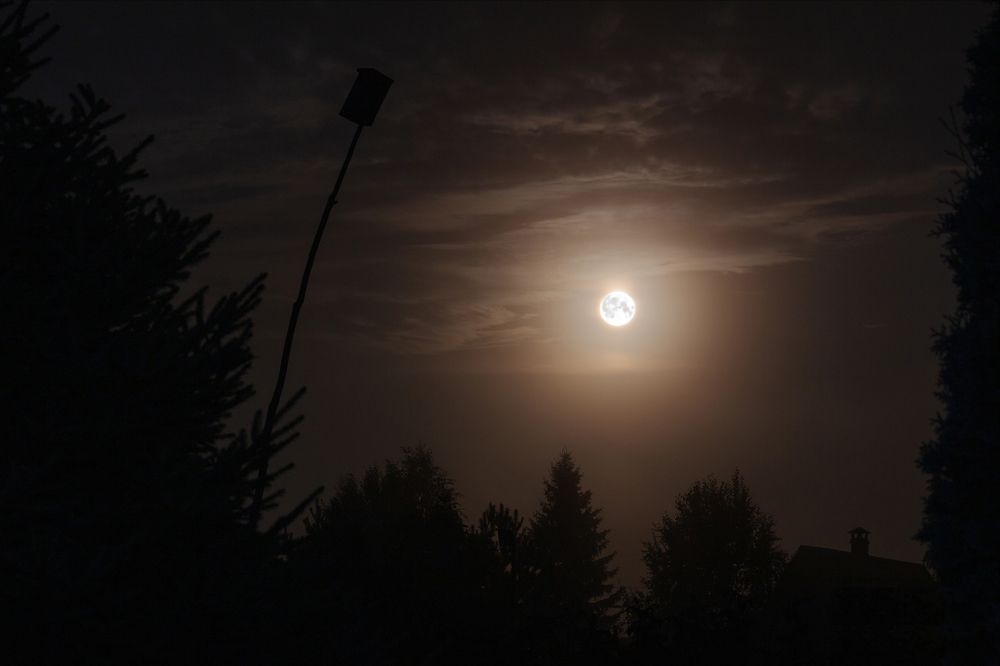 Photograph by Алексей