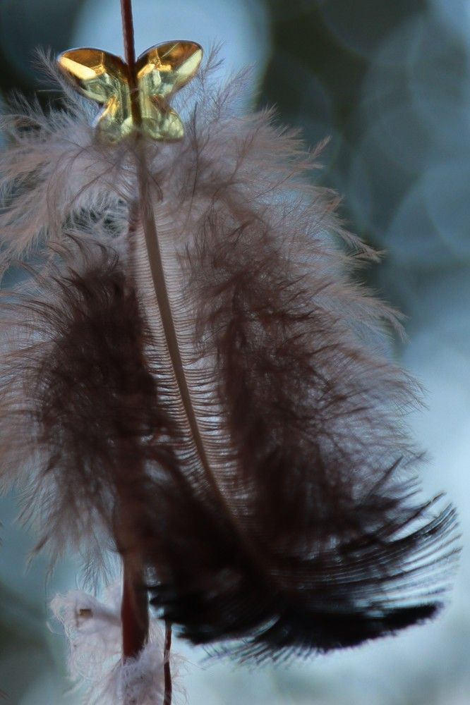 Фотография автора Елена Разина