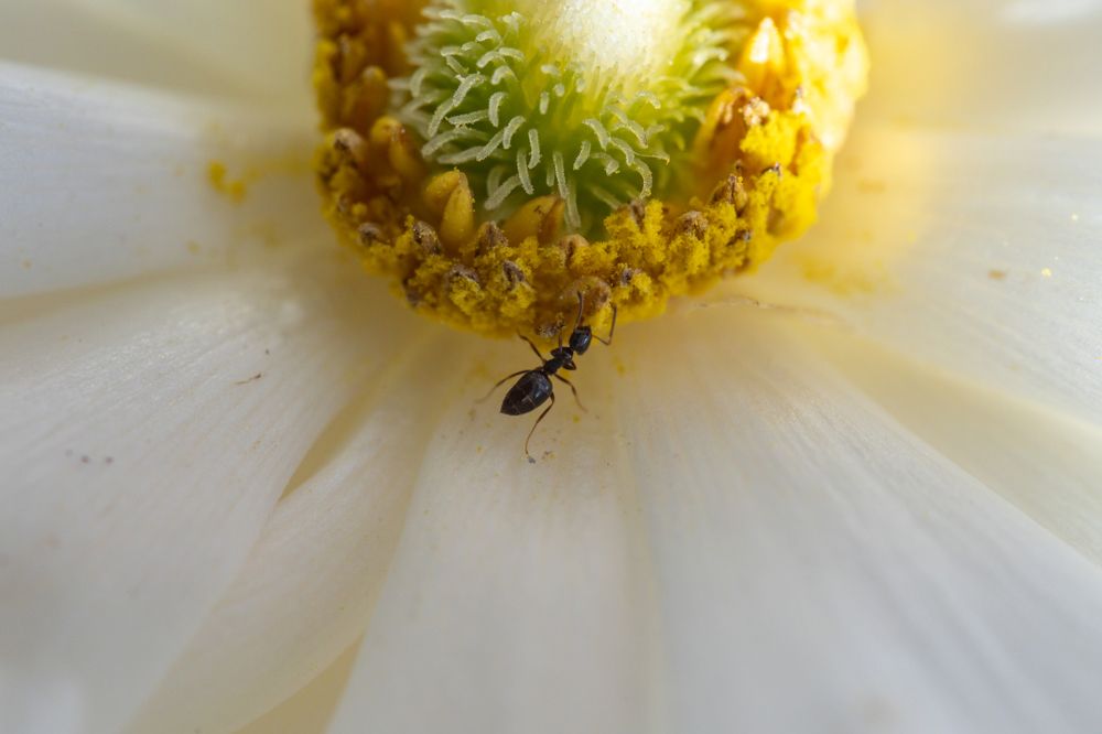 Photograph by Panagiotis Ioannou