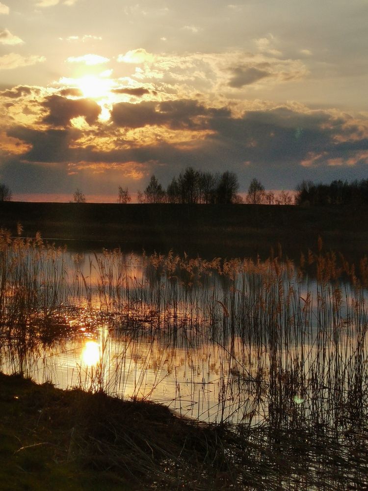 Photograph by Ольга Вергейчик