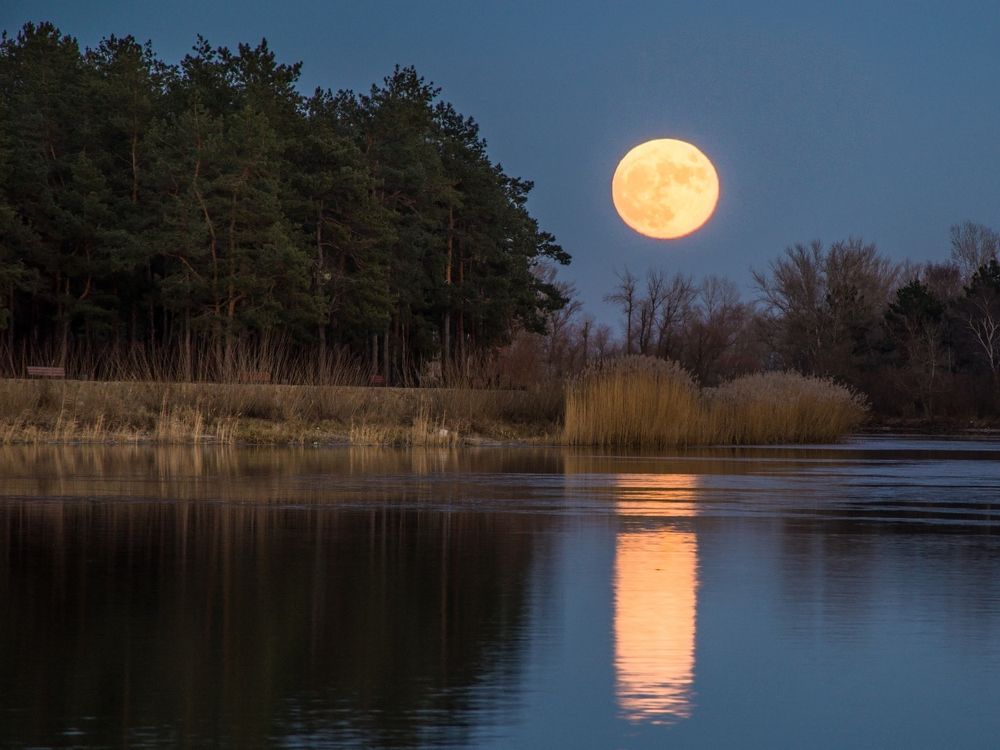 Желтая луна