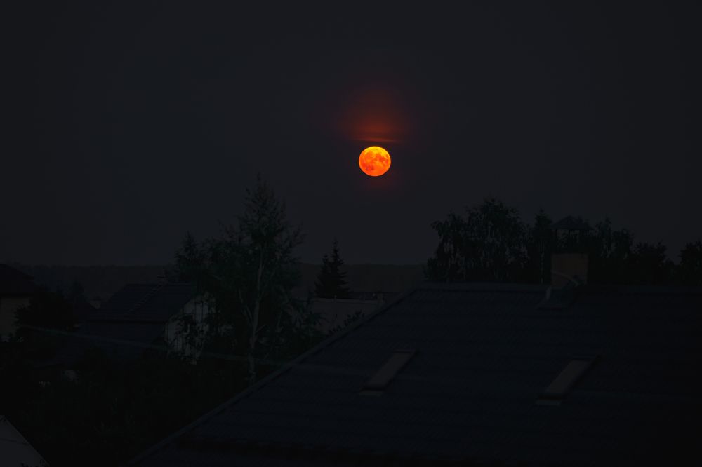 Photograph by Ольга Рачилова