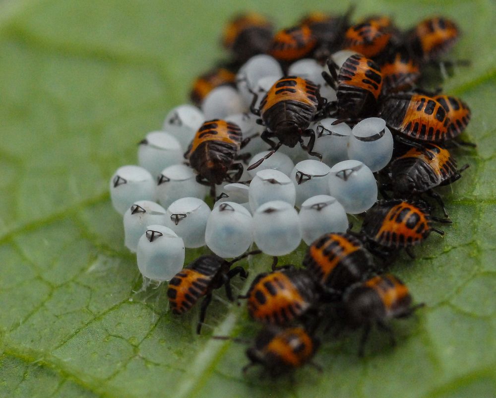 Photograph by Римма Волченко