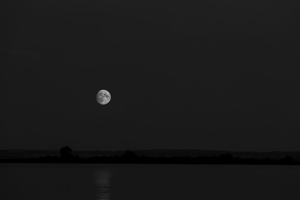 Photograph by Dmitry