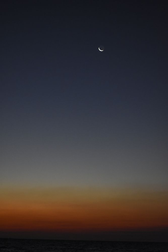 Фотография автора Mehran Nafisi