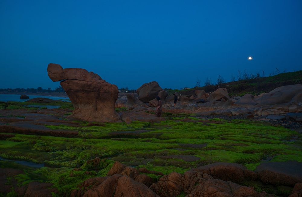 Photograph by Hanh P. T. Pham