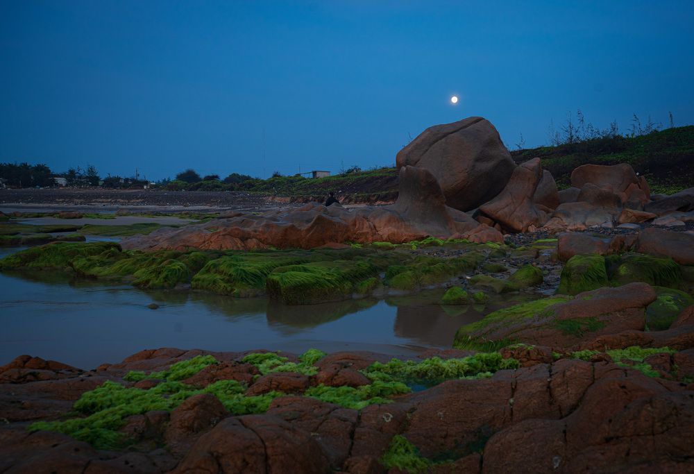 Photograph by Hanh P. T. Pham