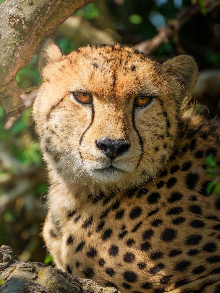 Photograph by Gimantha Perera