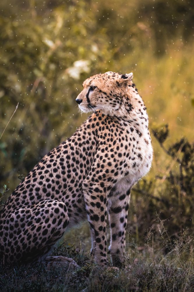 Photograph by Gimantha Perera