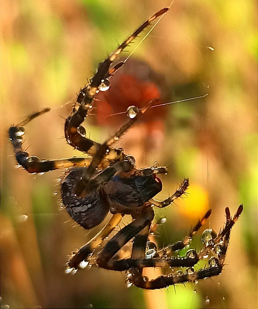 Photograph by Ольга Тихонова