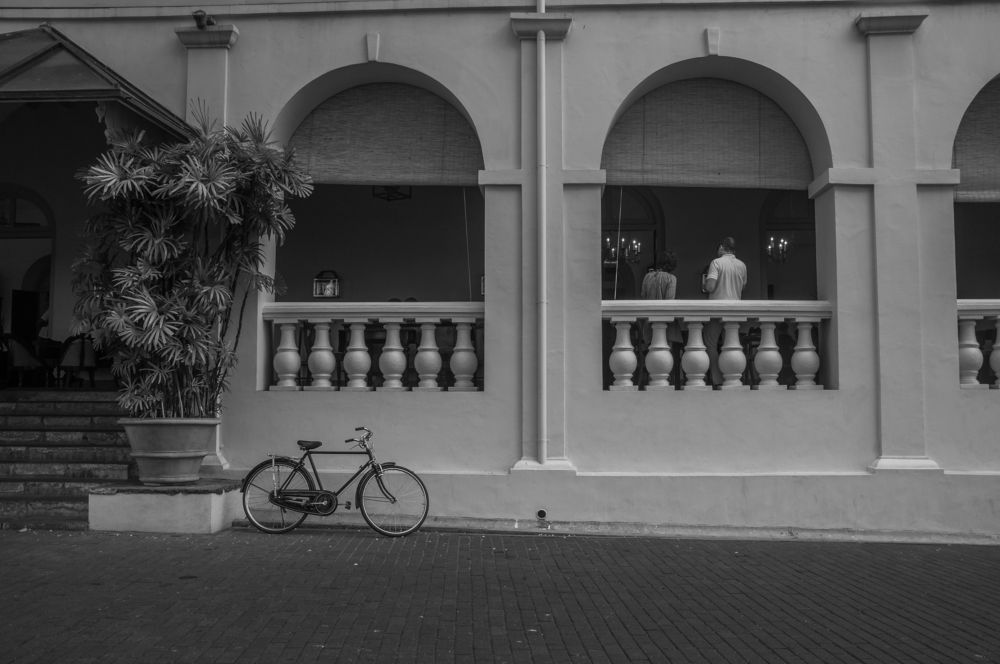 Photograph by Chamara Sulakkhana Polwatta Siriyalage