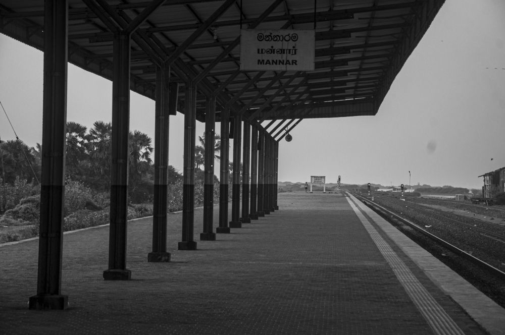 Photograph by Chamara Sulakkhana Polwatta Siriyalage