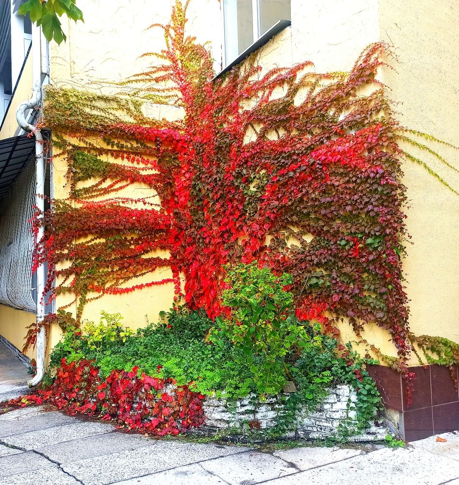 Photograph by Ольга Тихонова