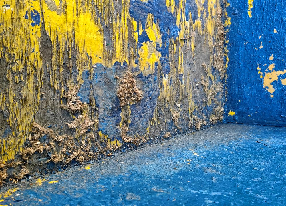 Photograph by Михаил Янкин