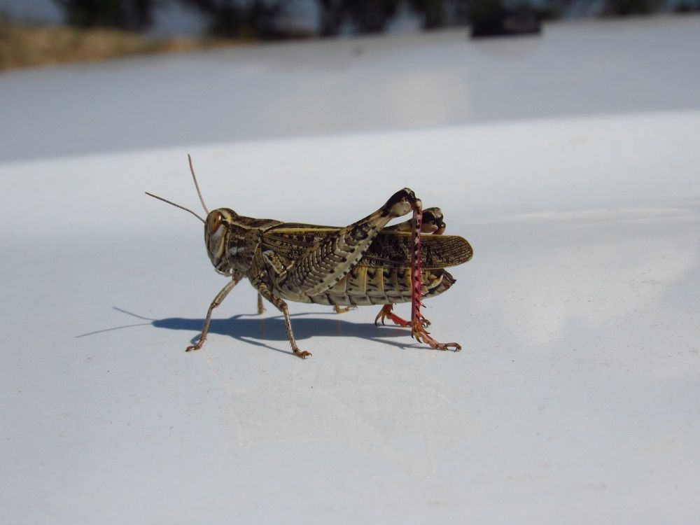 Photograph by Денис Веску