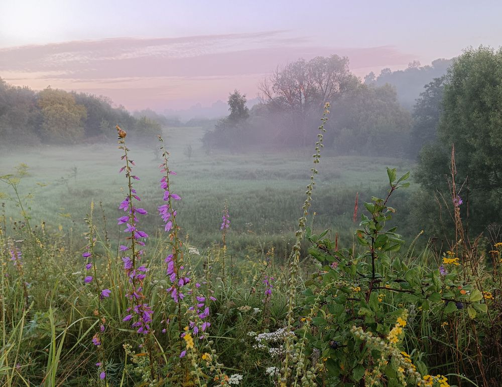 Photograph by Светлана Кондрашова