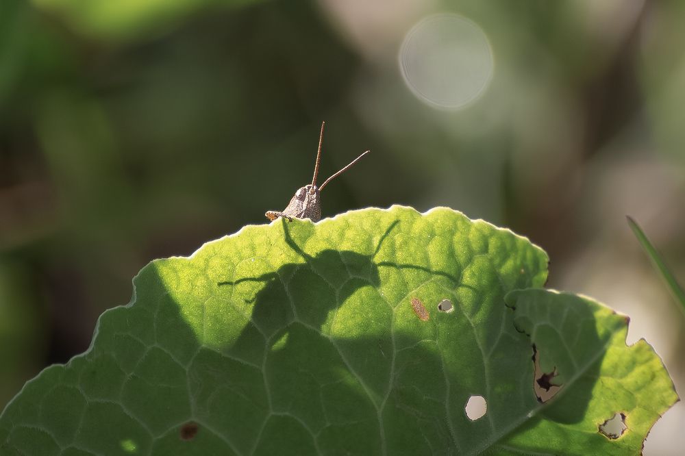 Photograph by Екатерина Кондрахина