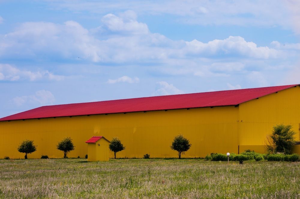 Photograph by Анна Новосельцева