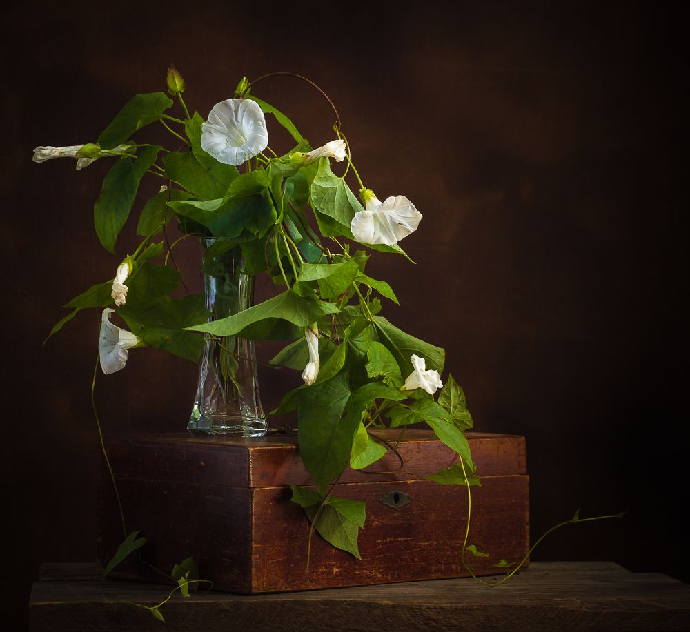 Photograph by Хвойнова Елена