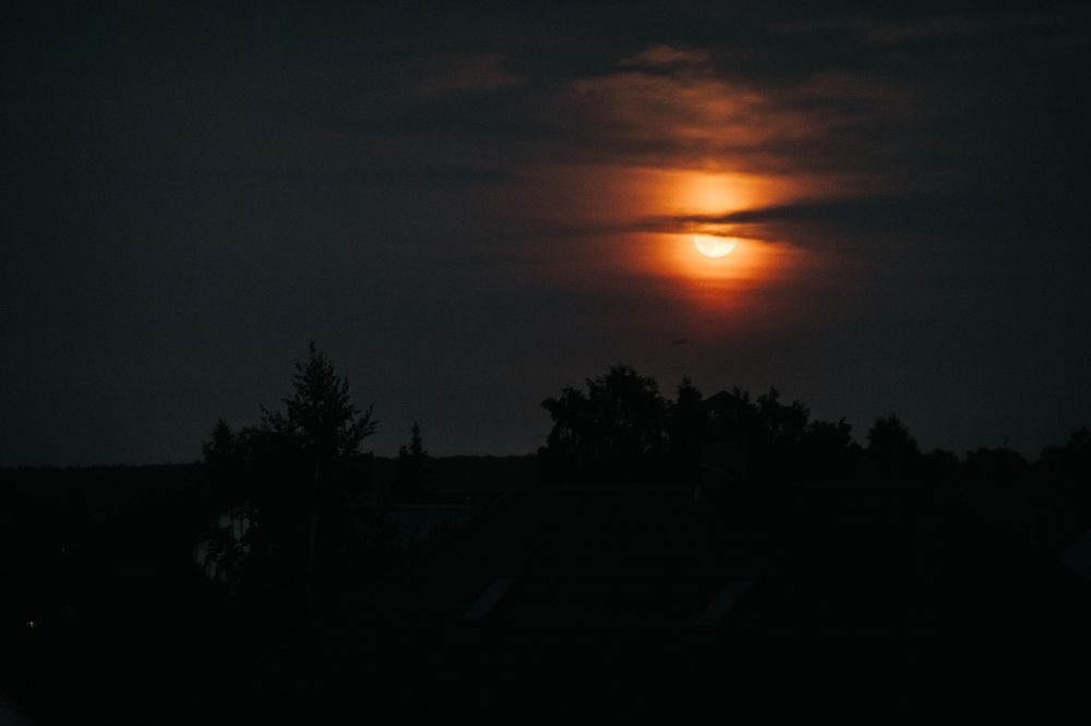 Photograph by Ольга Рачилова