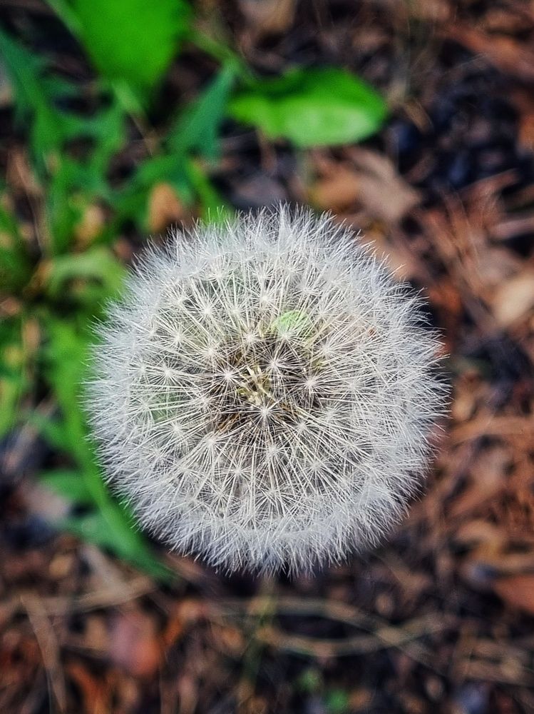 Photograph by Юлия Звонарева