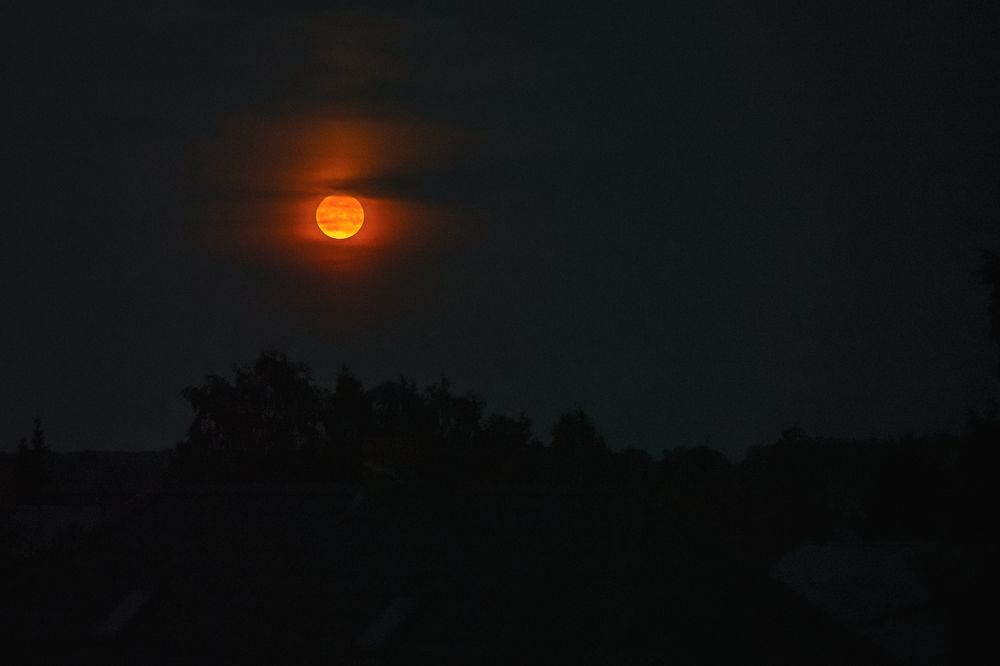 Photograph by Ольга Рачилова