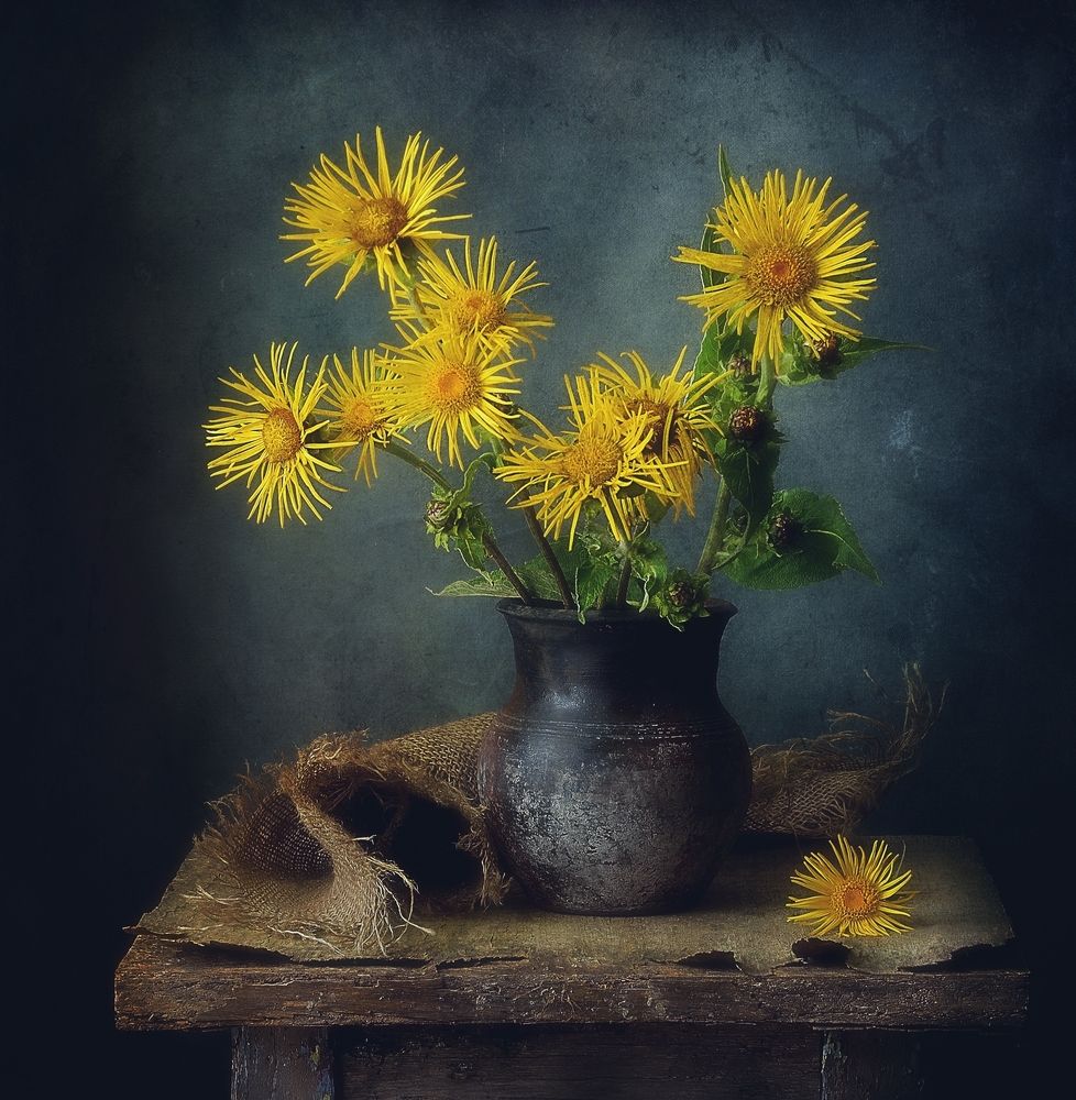 Photograph by Наталия К