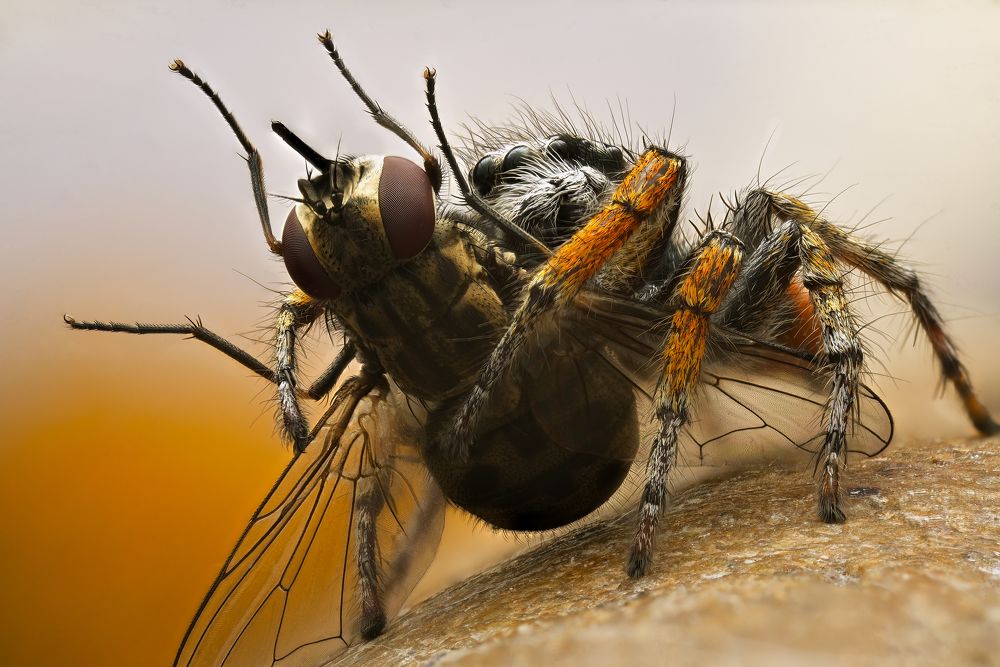 Photograph by Юрий Юрьевич