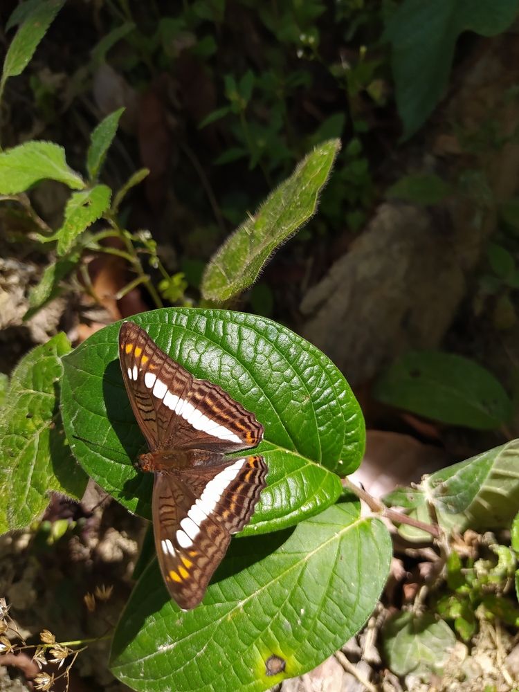 Photograph by Yanklin Ropero