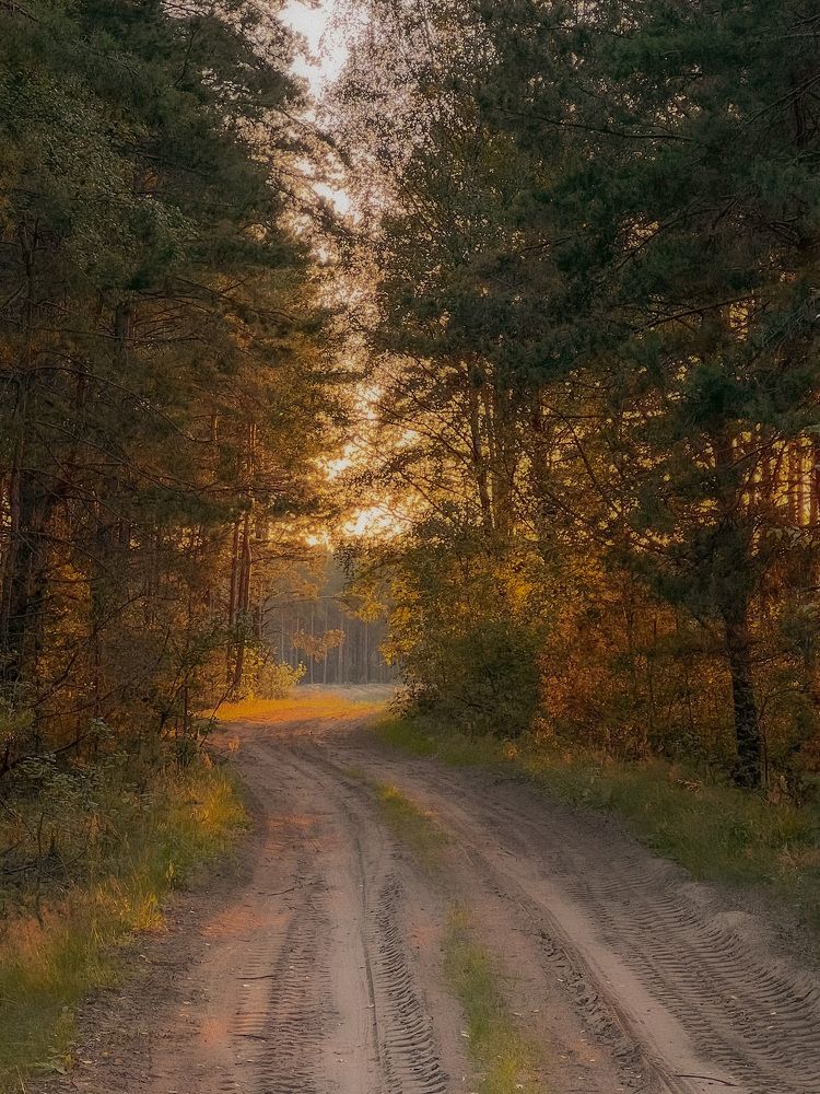 Photograph by Елена Башмакова