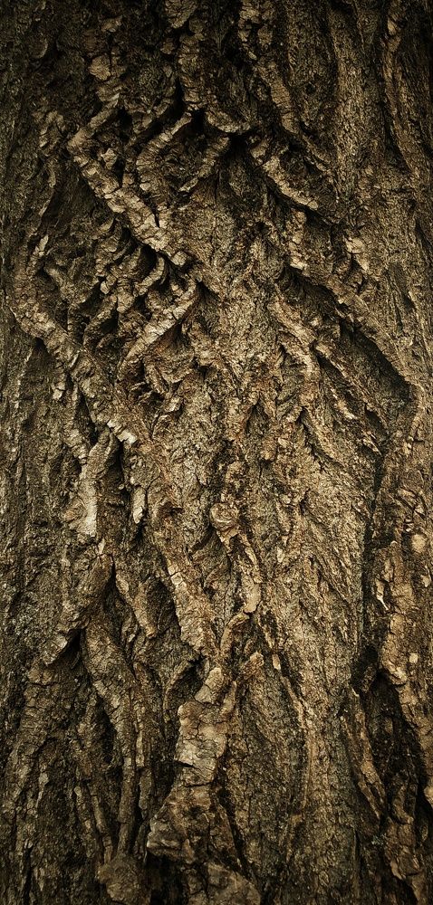 Photograph by Людмила М