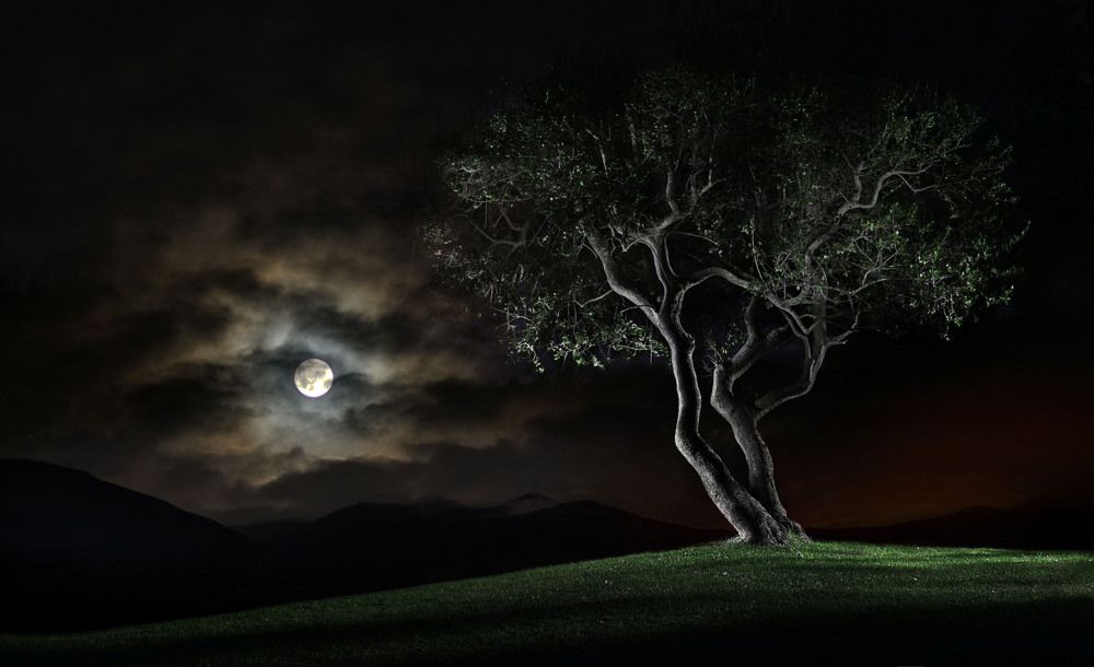 Photograph by Eduardo Modolo