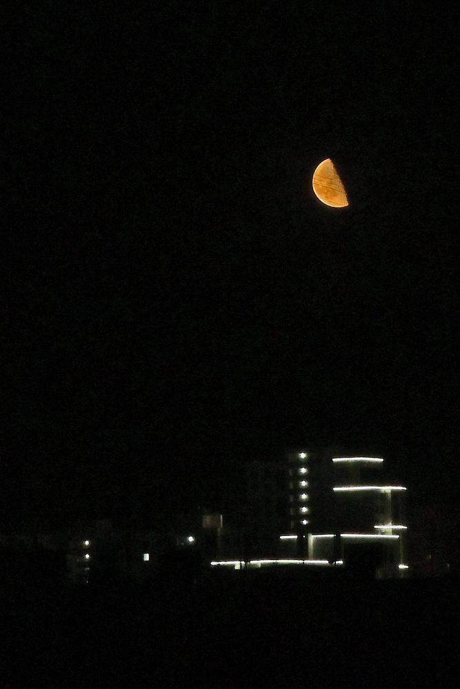 Photograph by Сергей Кривоносов