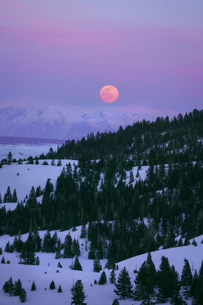 Photograph by Natalia