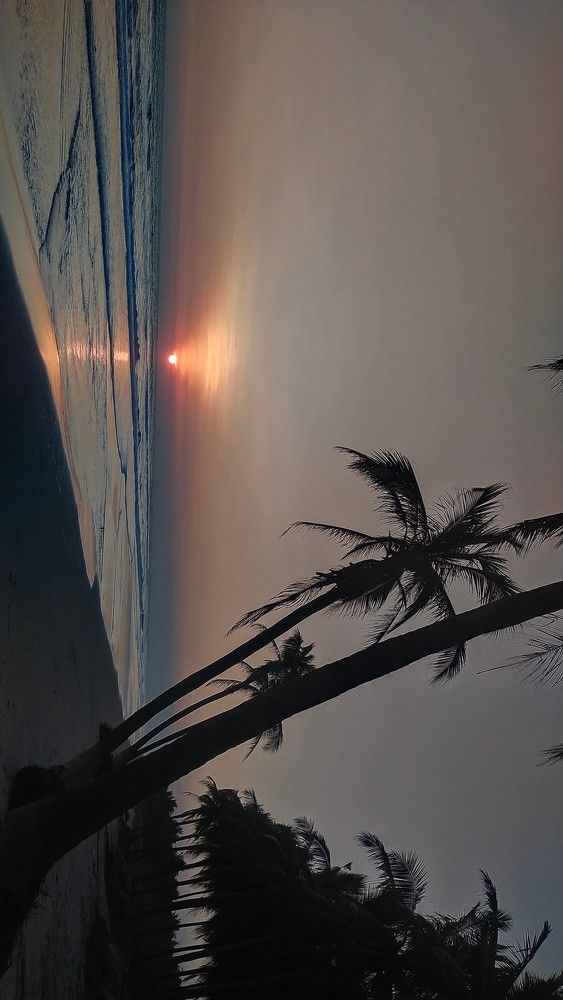 NATURE OF LOVE