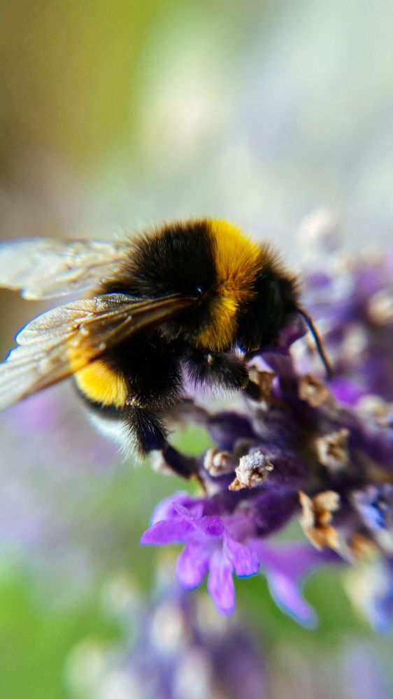 Photograph by Ольга Белостоцкая