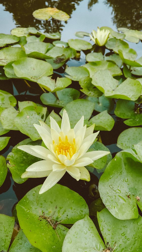 Photograph by Ольга Белостоцкая