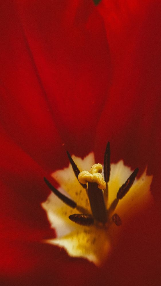 Photograph by Ольга Белостоцкая