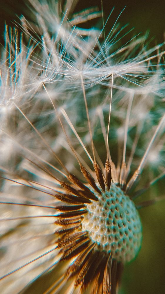 Photograph by Ольга Белостоцкая