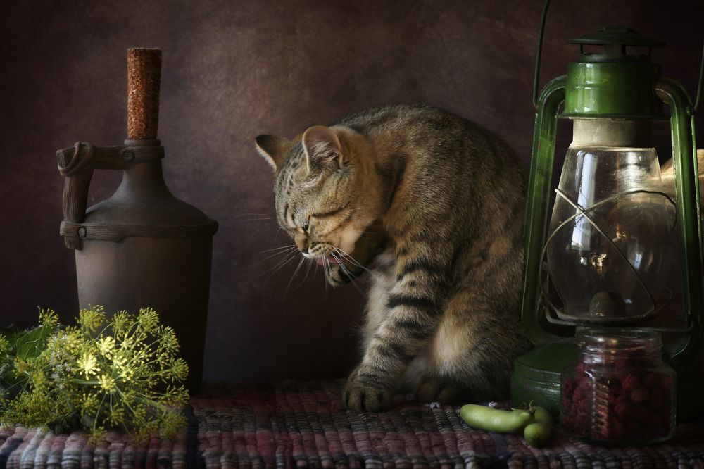 Photograph by Ирина Ефимова