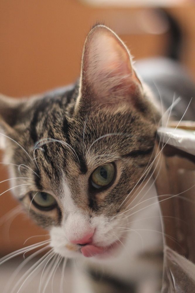 Photograph by Кристина Альшанская