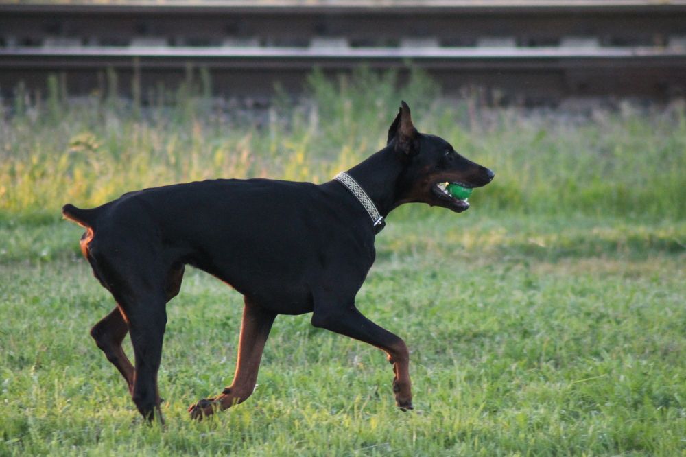 Photograph by Кристина Альшанская