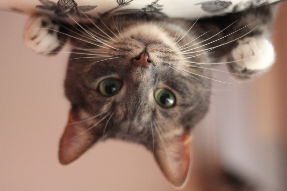 Photograph by Кристина Альшанская