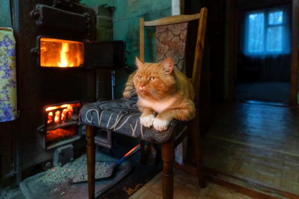 Фотография автора Александр Пашеничев