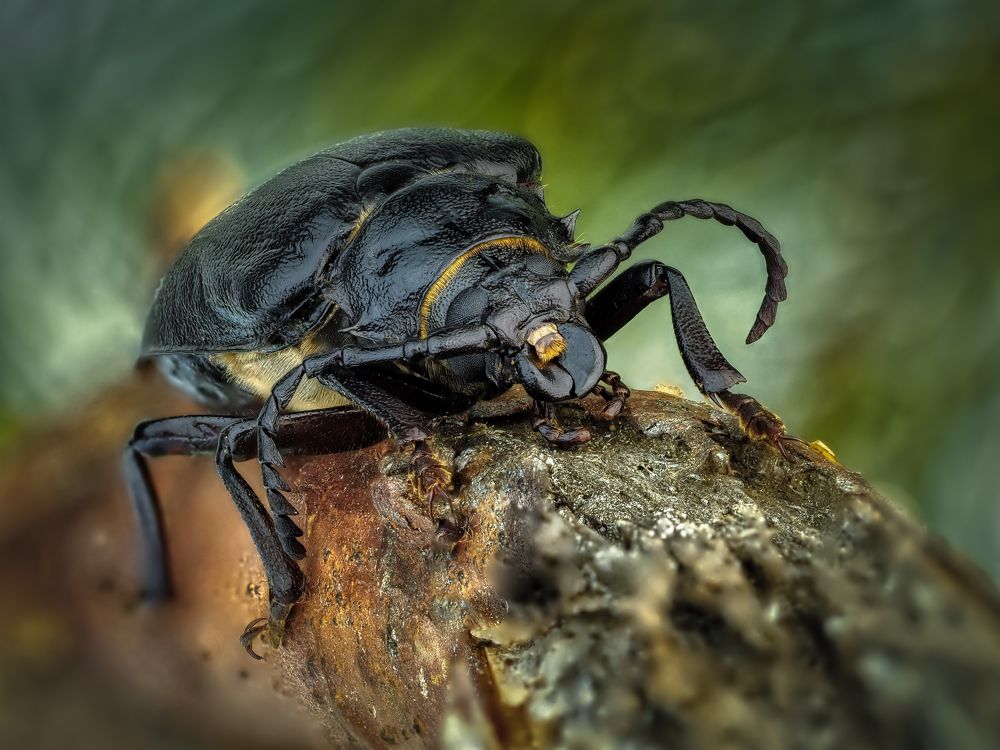 Photograph by савицкий олег